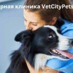 Ветеринарная клиника VetCityPets