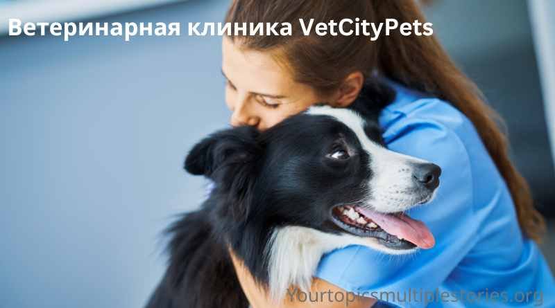 Ветеринарная клиника VetCityPets