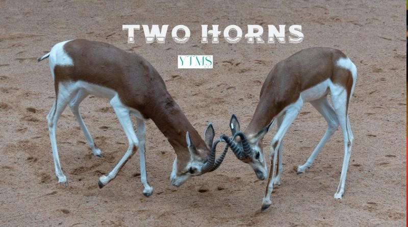 Two Horns